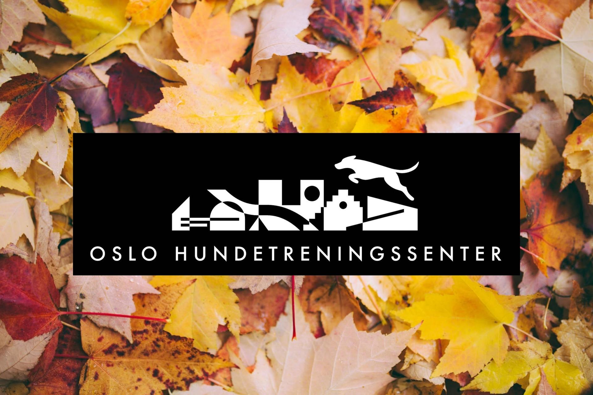 Høst med logo