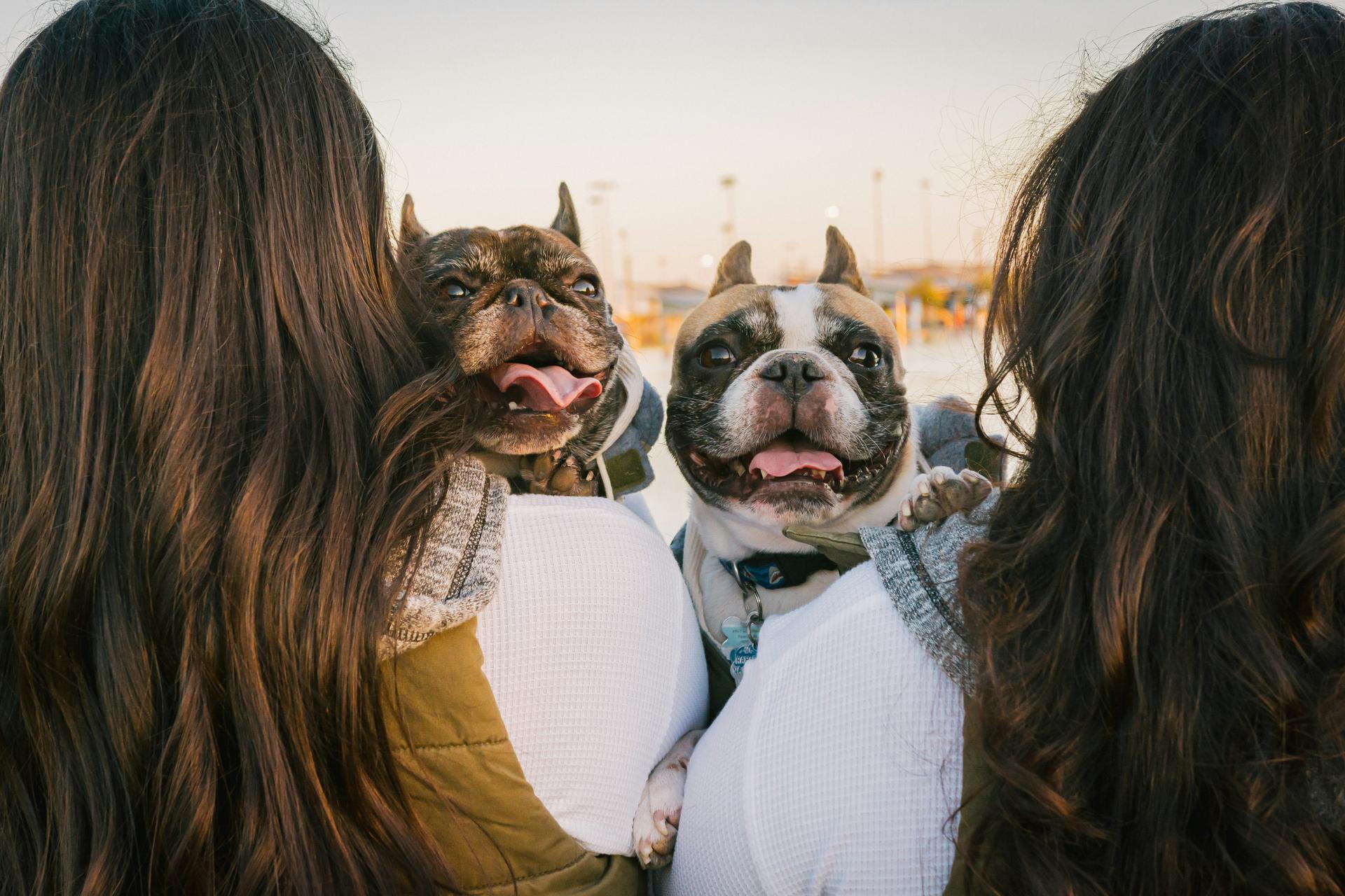 Teens and dogs